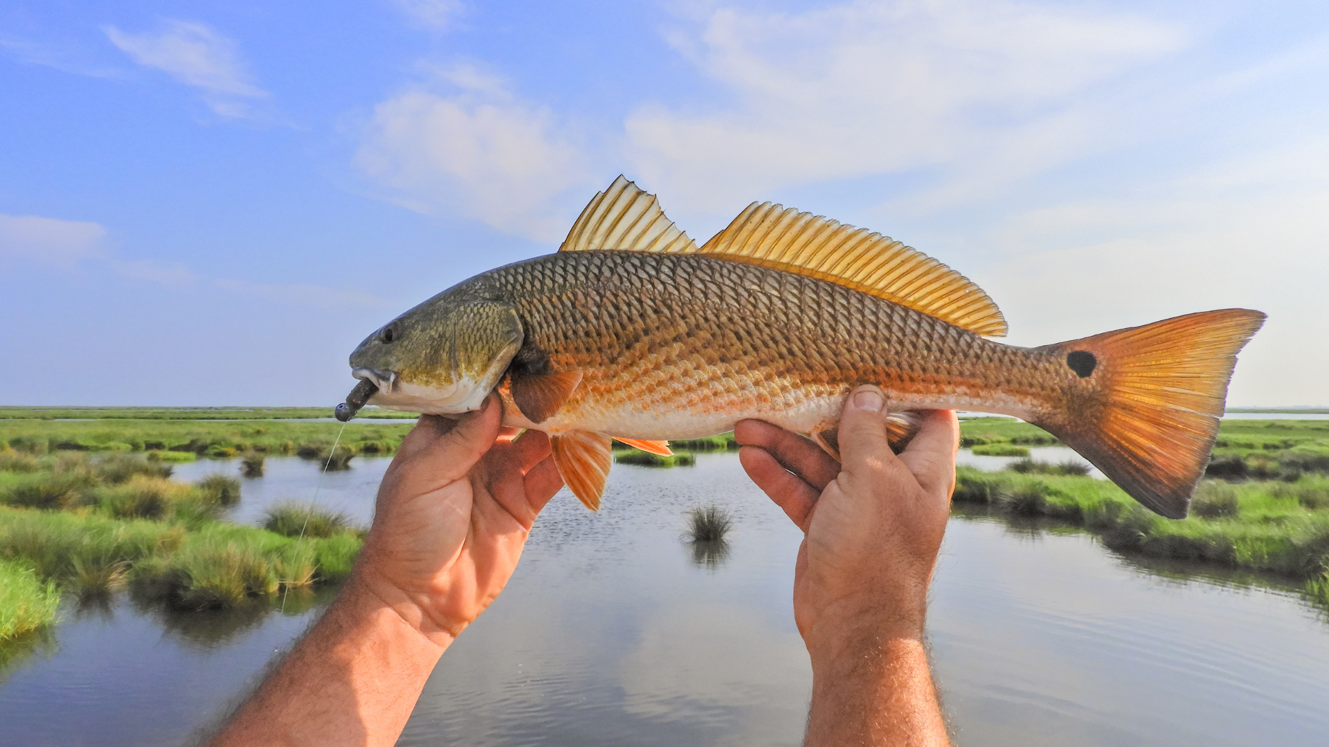 Best Bayou Redfishing with a World Champion