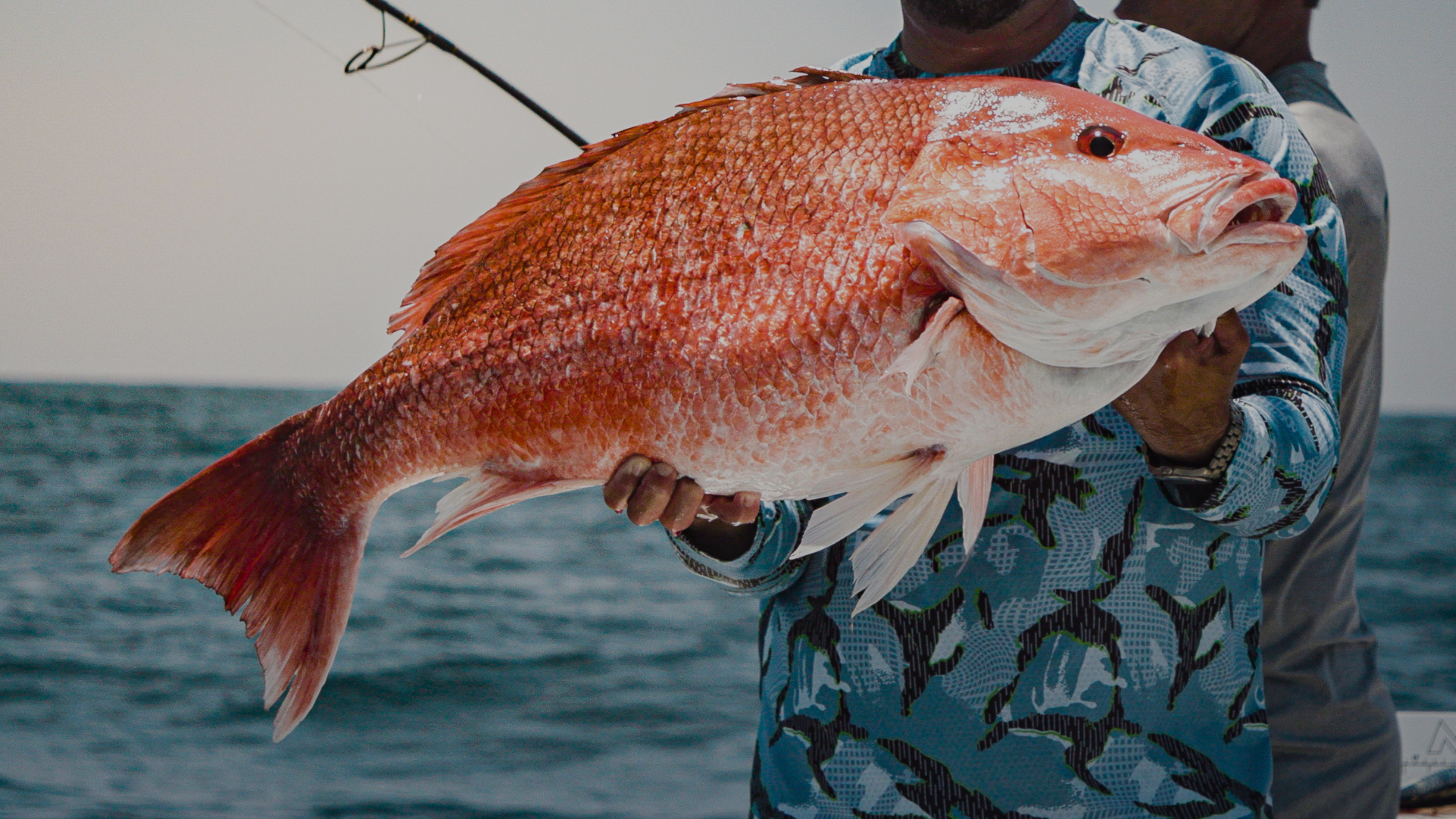 Chasing Snappers & Records With Captain Tommy Pellegrin