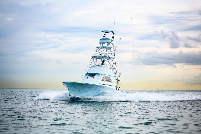 Offshore Boat Fishing Sailfish