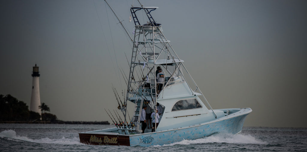 Offshore Boat Fishing Sailfish