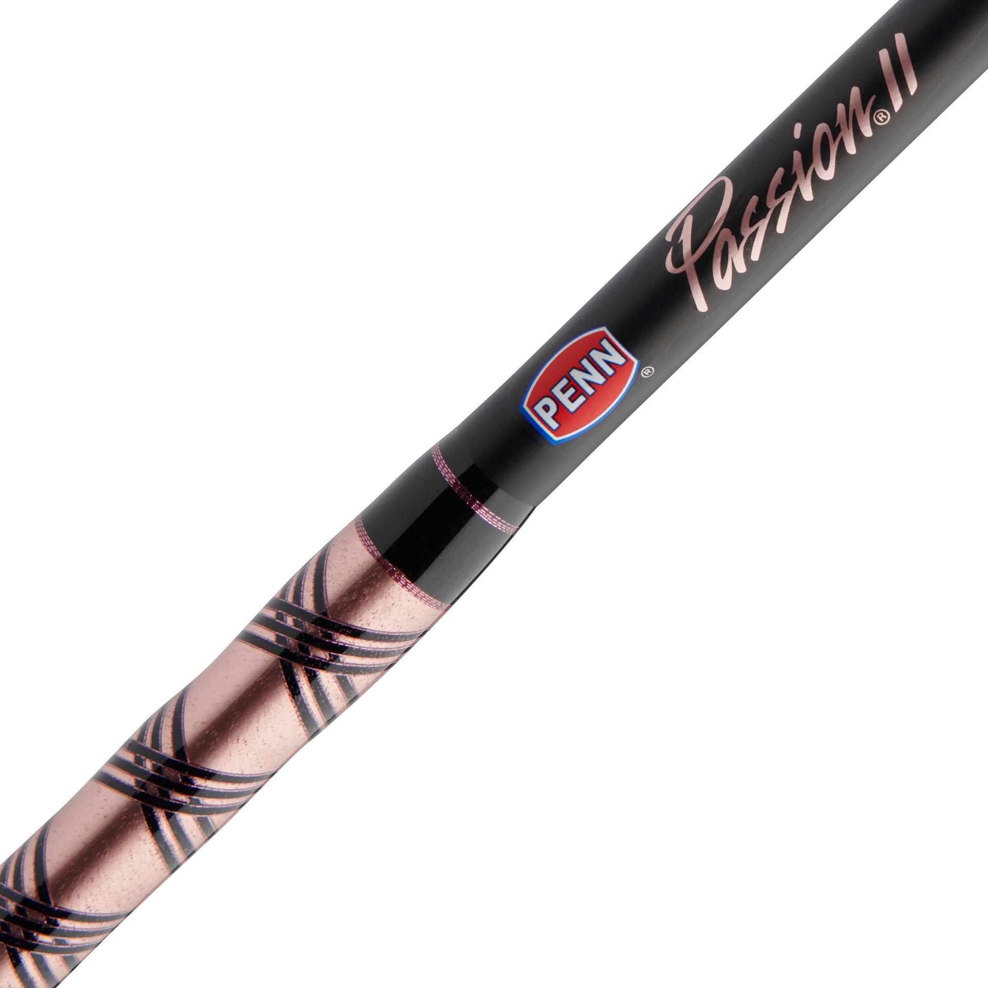 Penn 1422325 Passion Spinning Combo, 5000, 4.6: 1 Gear Ratio, 6