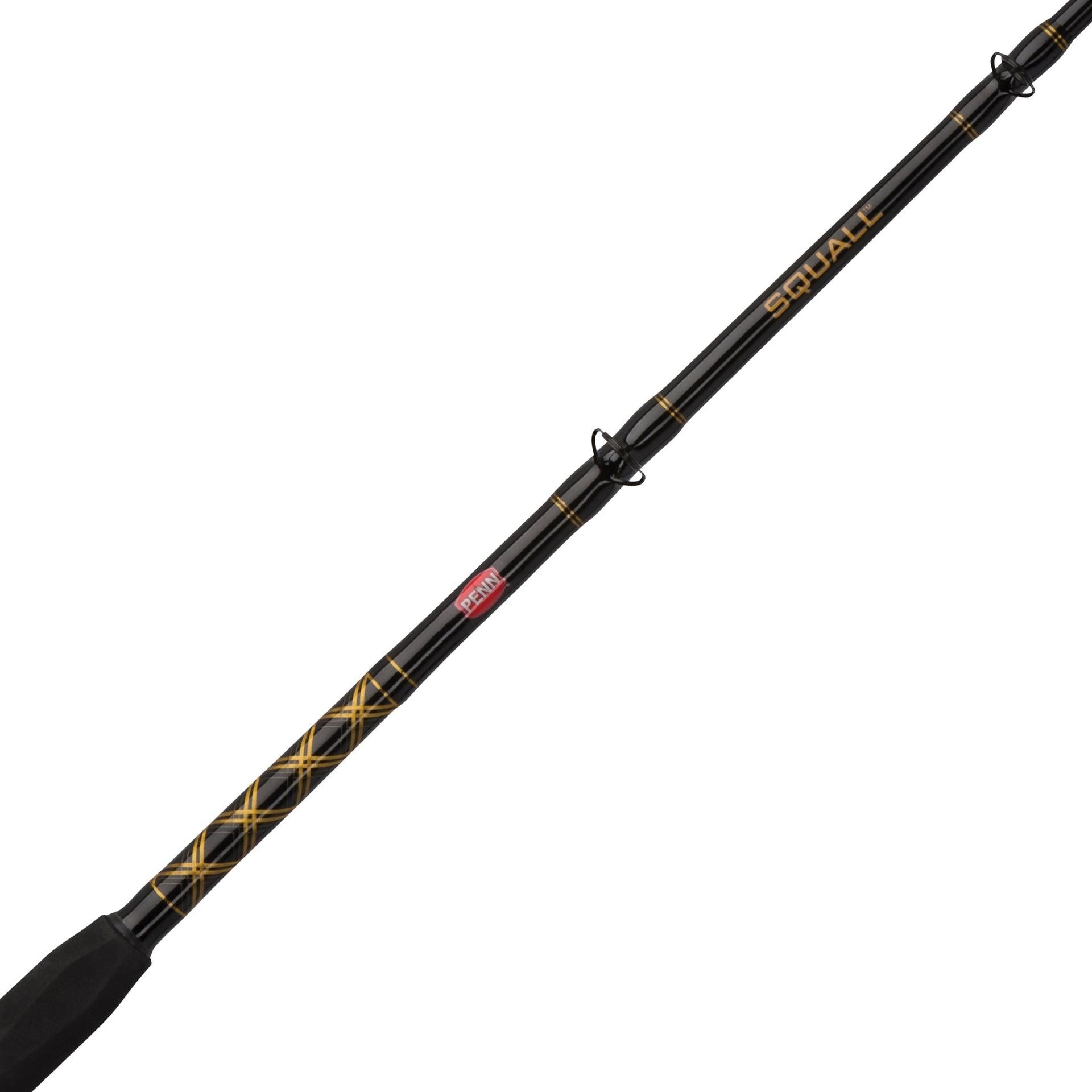 PENN Squall Lever Drag 2 Speed Bluewater Carnage Overhead Combo - Pauls  Fishing Systems